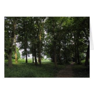 Madera, Bute Park Cardiff