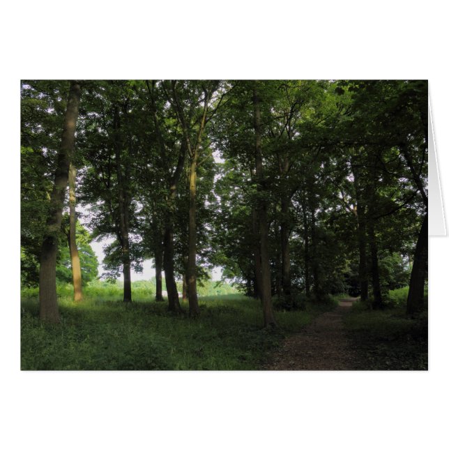 Madera, Bute Park Cardiff (Anverso (Horizontal))
