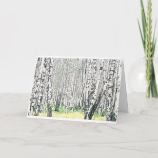 Madera de abedul de plata - tarjeta de
