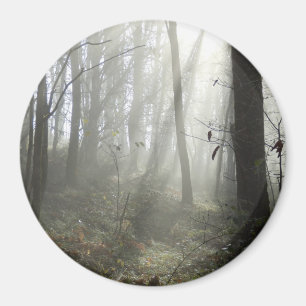 Madera de Woodland Mist Gran imán redondo