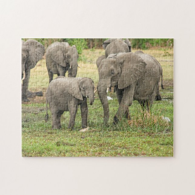 Madera elefante y el rompecabezas animal bebé romp (Horizontal)