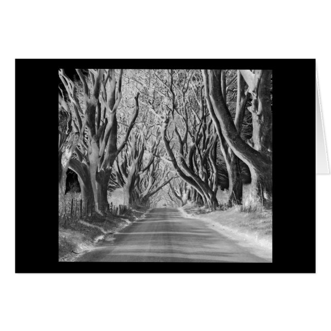 Madera fantasmagórica (Anverso (Horizontal))