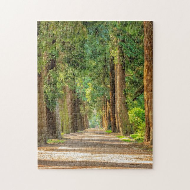 MADERA FORESTAL TRAINQUIL JIGSAW PUZZLE (Vertical)