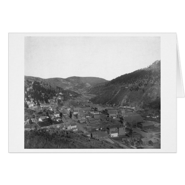 Madera muerta de la fotografía de Livingston's Hil (Anverso (Horizontal))