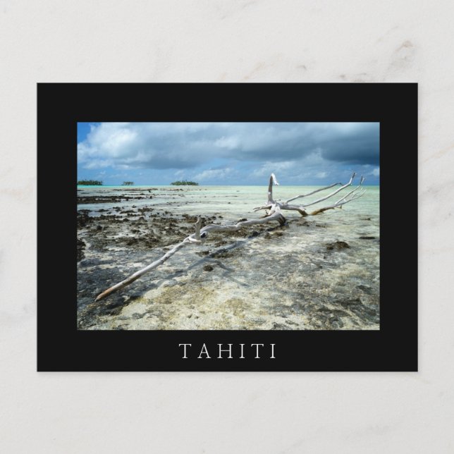 Madera muerta en la postal de texto negro del Pací (Anverso)