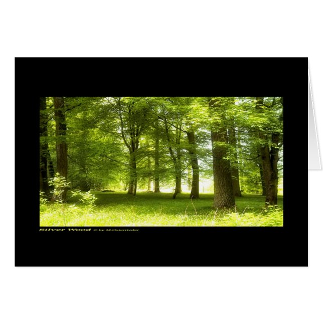 Madera plateada (tarjeta) (Anverso (Horizontal))