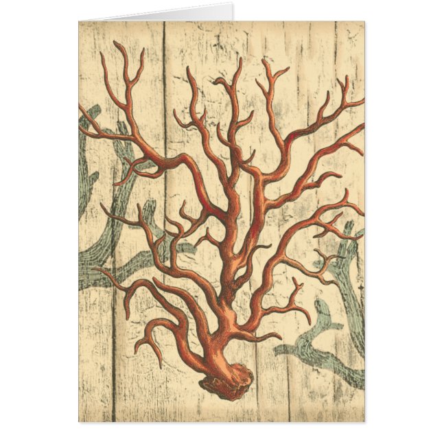 Madera y coral pequeño (Frente)