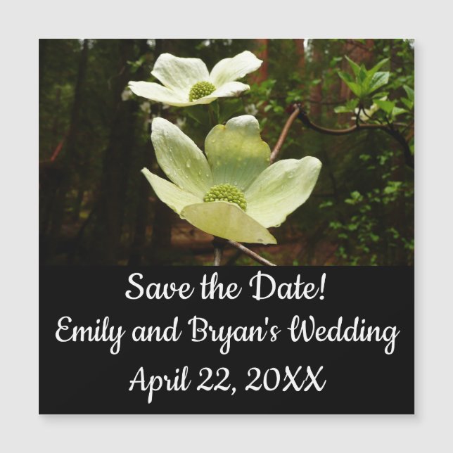 Maderas y secuoyas en el Parque Nacional Yosemite (Anverso)