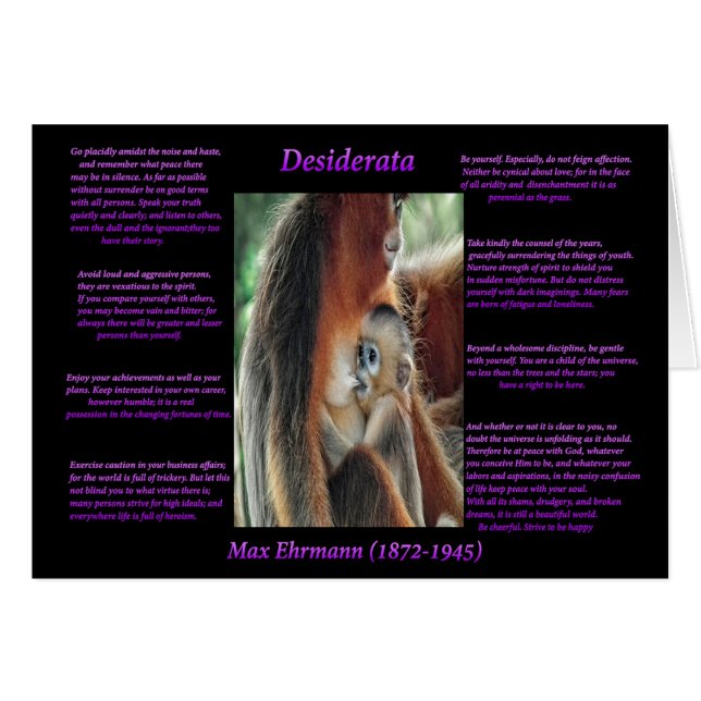 Madre amor (Anverso (Horizontal))