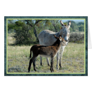 Madre burro y bebé