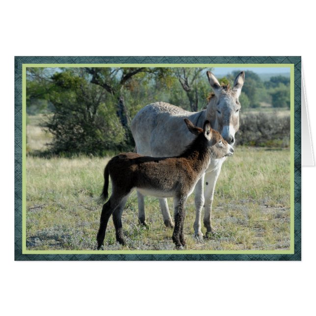 Madre burro y bebé (Anverso (Horizontal))