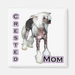 Madre de caballo china 4 - imán