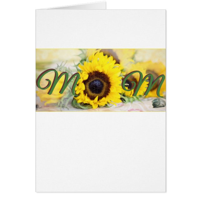 Madre del girasol (Frente)