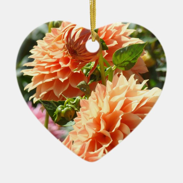 ¡Madre e hija! Dalias colgantes del ornamento (Frente)