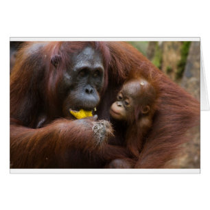 Madre e hijo