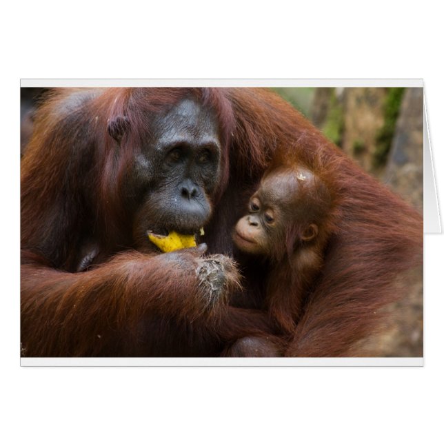 Madre e hijo (Anverso (Horizontal))