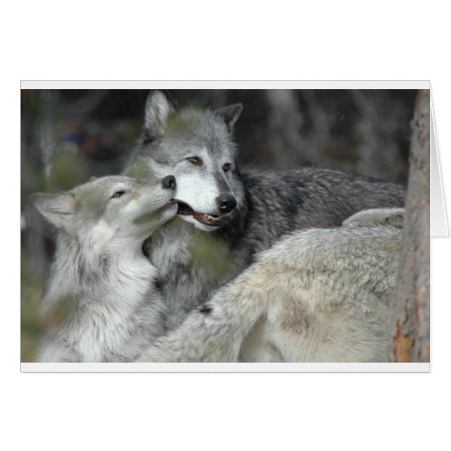 Madre e hijo (Anverso (Horizontal))