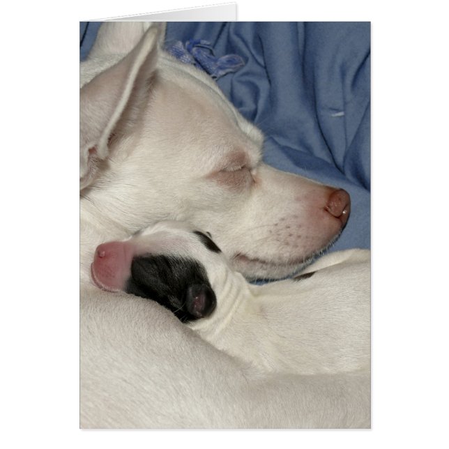 Madre e hijo (Frente)