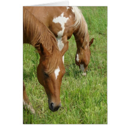Madre e hijo, caballos lanzando
