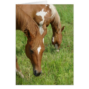 Madre e hijo, caballos lanzando