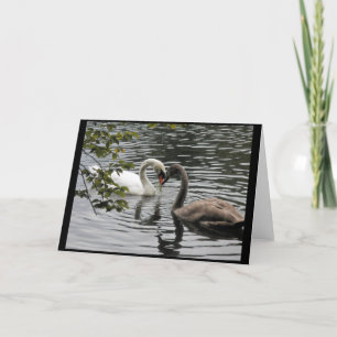 Madre e hijo — Tarjeta de saludo para cisnes