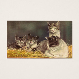 Madre gatos y gatitos