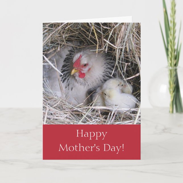 Madre Hen con nueva tarjeta de felicitación de chi (Anverso)