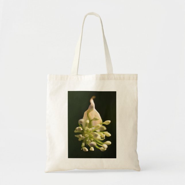 "Madre Naturaleza" Flor Imprimir bolsa de té (Frente)