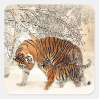 madre tigre y pegatinas de bebé