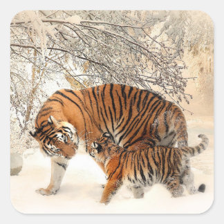 madre tigre y pegatinas de bebé