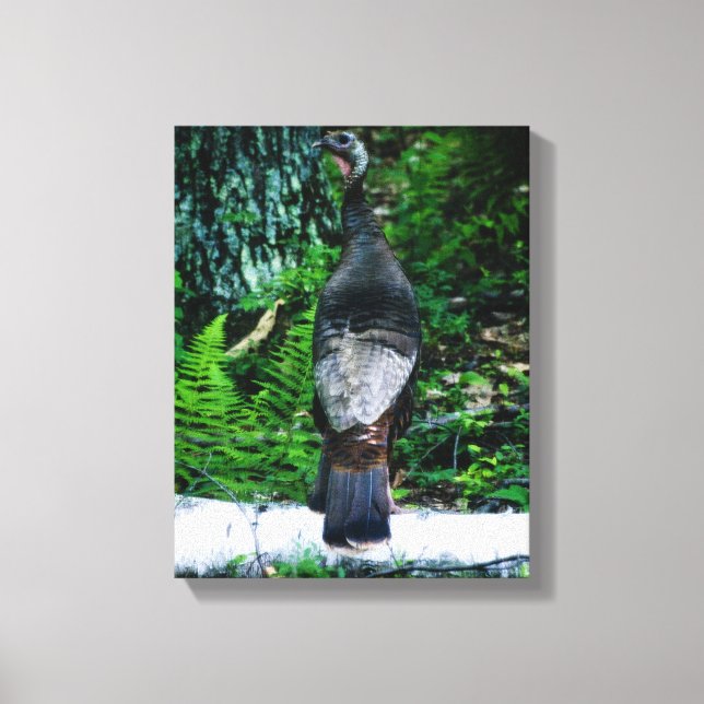 Madre Turquía envuelto lienzo (Anverso)