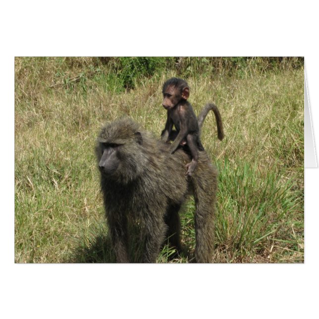 Madre y bebé (Anverso (Horizontal))