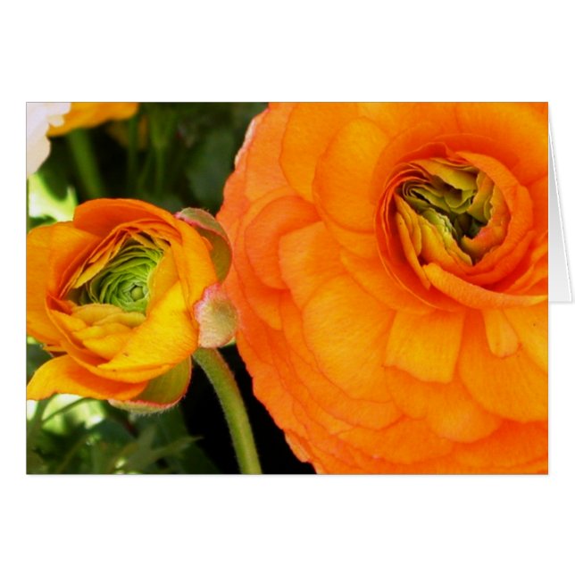 Madre y niño (Anverso (Horizontal))