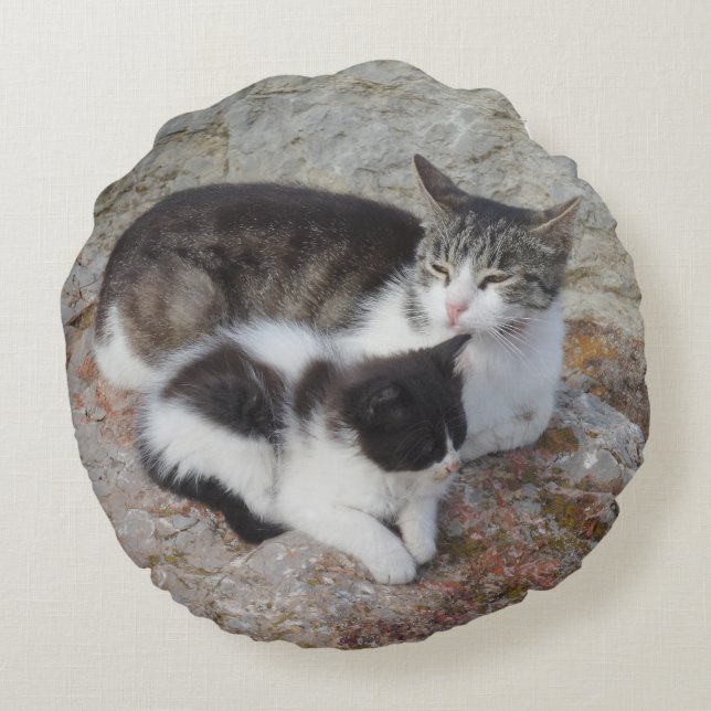 Madre y niño rodean la almohada (Reverso)