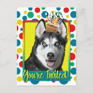 Magdalena de la invitación - husky siberiano