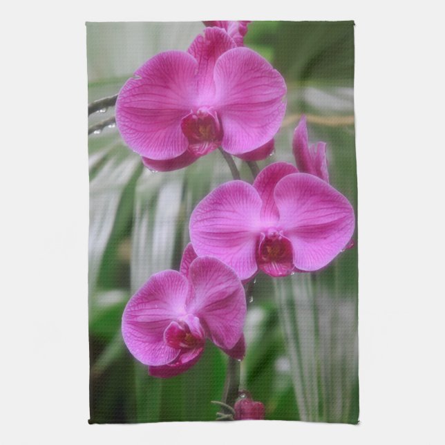 Magenta Orchids Kitchel Toalla (Vertical)