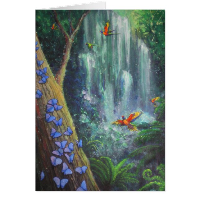 Magia de la selva tropical (Frente)