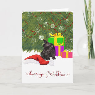Magia de Navidad