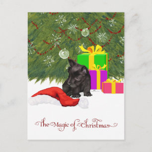 Magia de Navidad