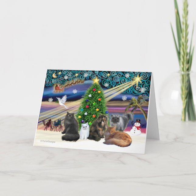 Magia de Navidad - Cinco gatos persas (Anverso)