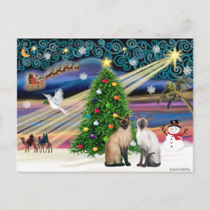 Magia de Navidad - Dos gatos siameses (Sello + Cho