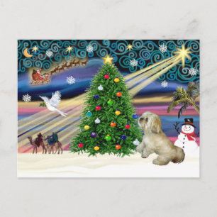 Magia de Navidad Lhasa Apso 7