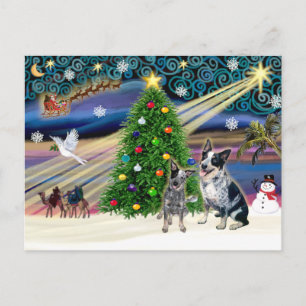 Magia de Navidad Perros Ganaderos Australianos (do