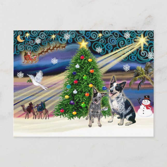 Magia de Navidad Perros Ganaderos Australianos (do (Anverso)