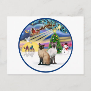 Magia de Navidad (R) - Dos gatos siameses