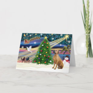 Magia de Navidad Rhodesian Ridgeback 1