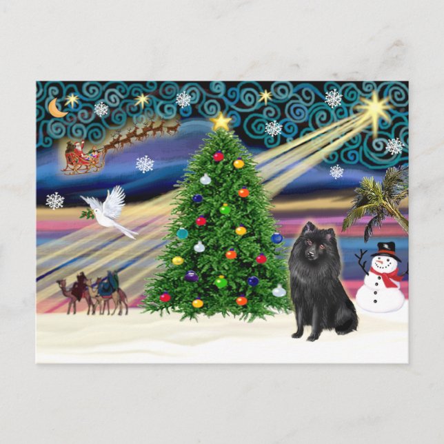 Magia de Navidad Schipperke (Anverso)
