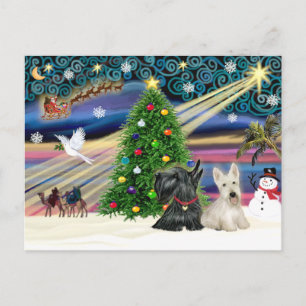 Magia de Navidad Scottish Terriers (dos)