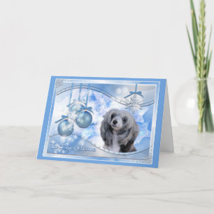 Magia del chino del navidad Crested
