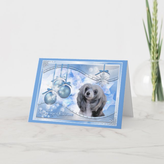 Magia del chino del navidad Crested (Anverso)